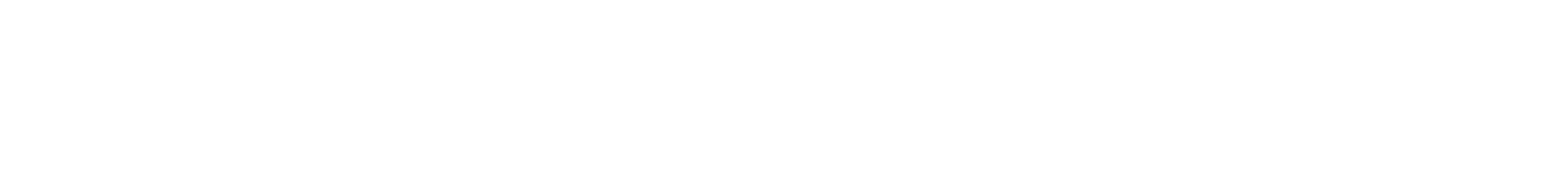 The Elder Care Advocate